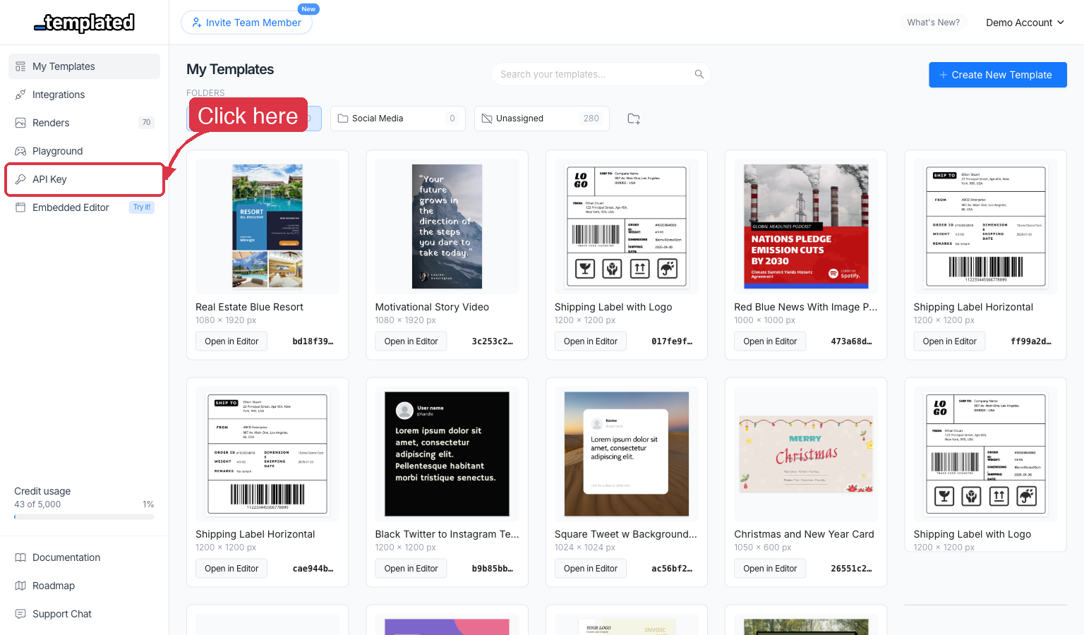 Click on API Key in the sidebar