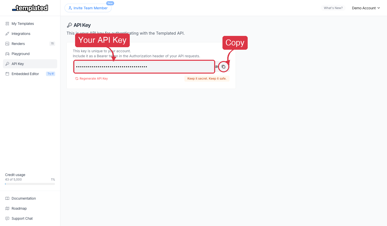 Copy your API Key